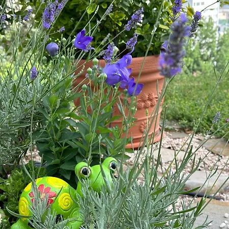 Appartement 33 Sarajevo